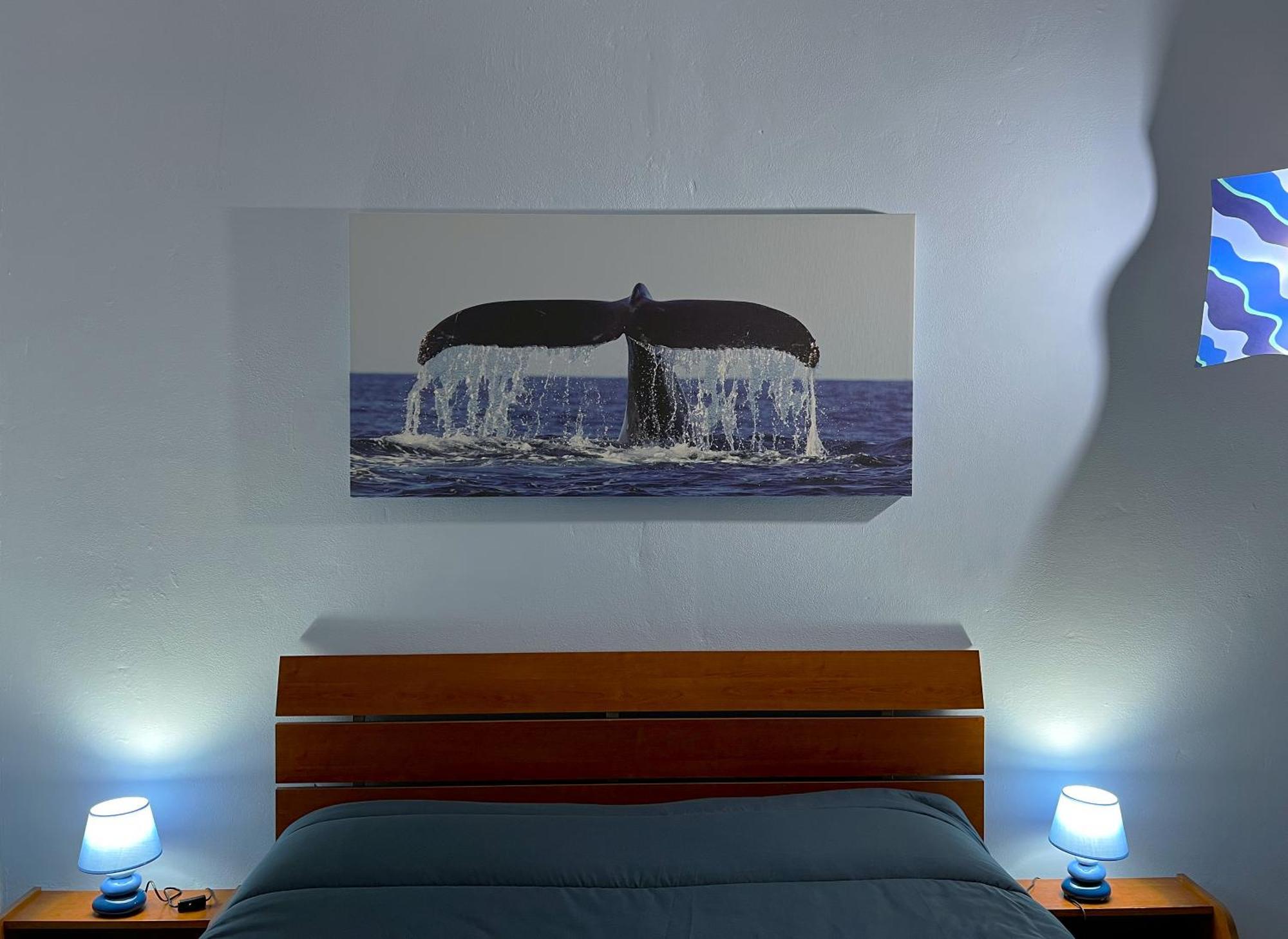 Casa Vacanze Oceano 리보르노 외부 사진